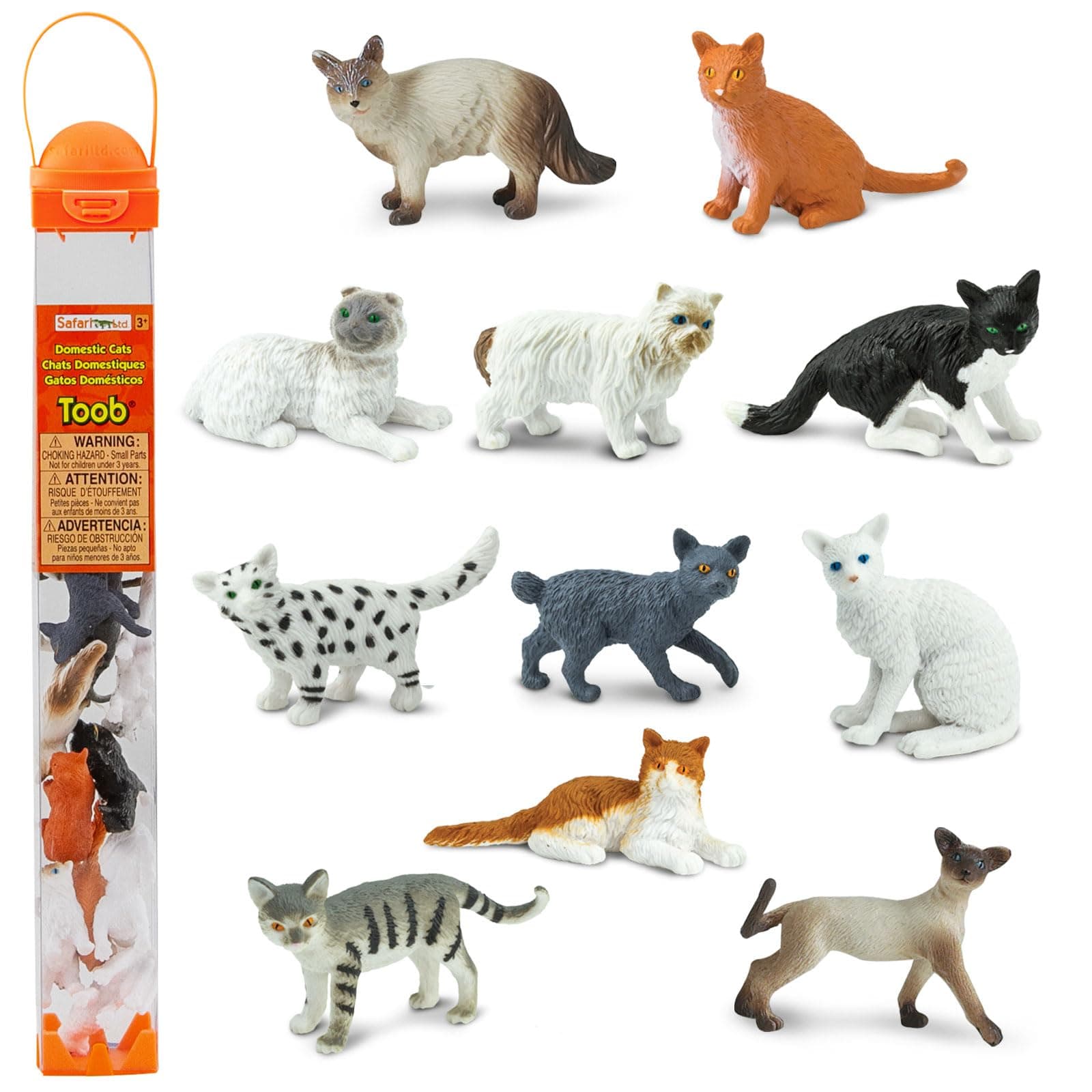Domestic Cats