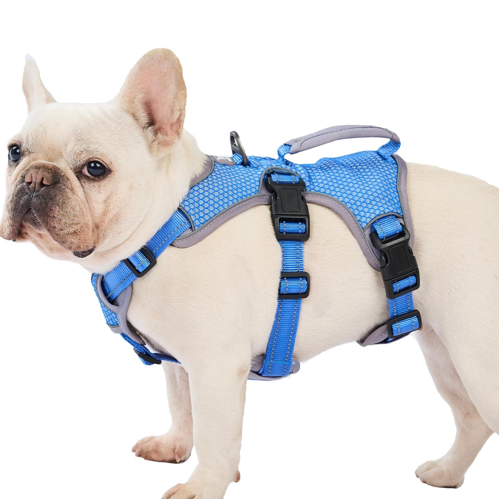Huntboo Escape Proof Dog Harness, Escape Artist Harness, Reflective Dog Harness with Handle, Durable,Adjustable Vest for Small Medium Large Dogs Walking, Training, and Running Gear(Sea Blue,M)