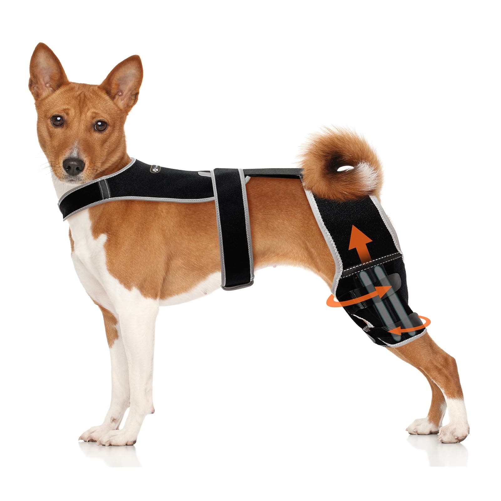 Adjustable Dog Knee Brace for Hind Leg - Double Leg Orthopedic Support with 4 Metal Stabilizers, Vest Design Dog Leg Brace for ACL/CCL Tear, Luxating Patella, Arthritis & Post-Surgery Rehab (L)
