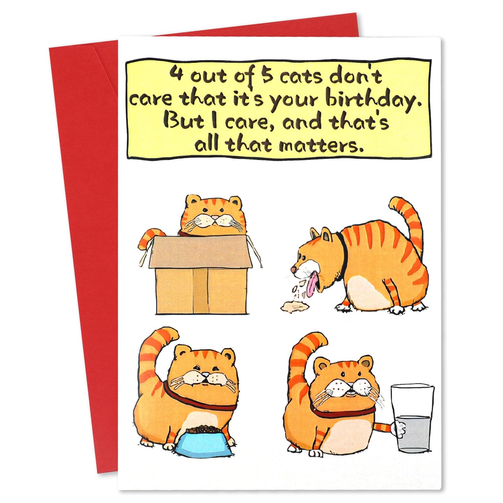 Ethanberg Funny Birthday Card for Cat Owner Cat Lover Cat Mom Cat Dad, 4 out of 5 Cats Do Not Care That It Is Your Birthday, But I Care, and That Is All That Matters