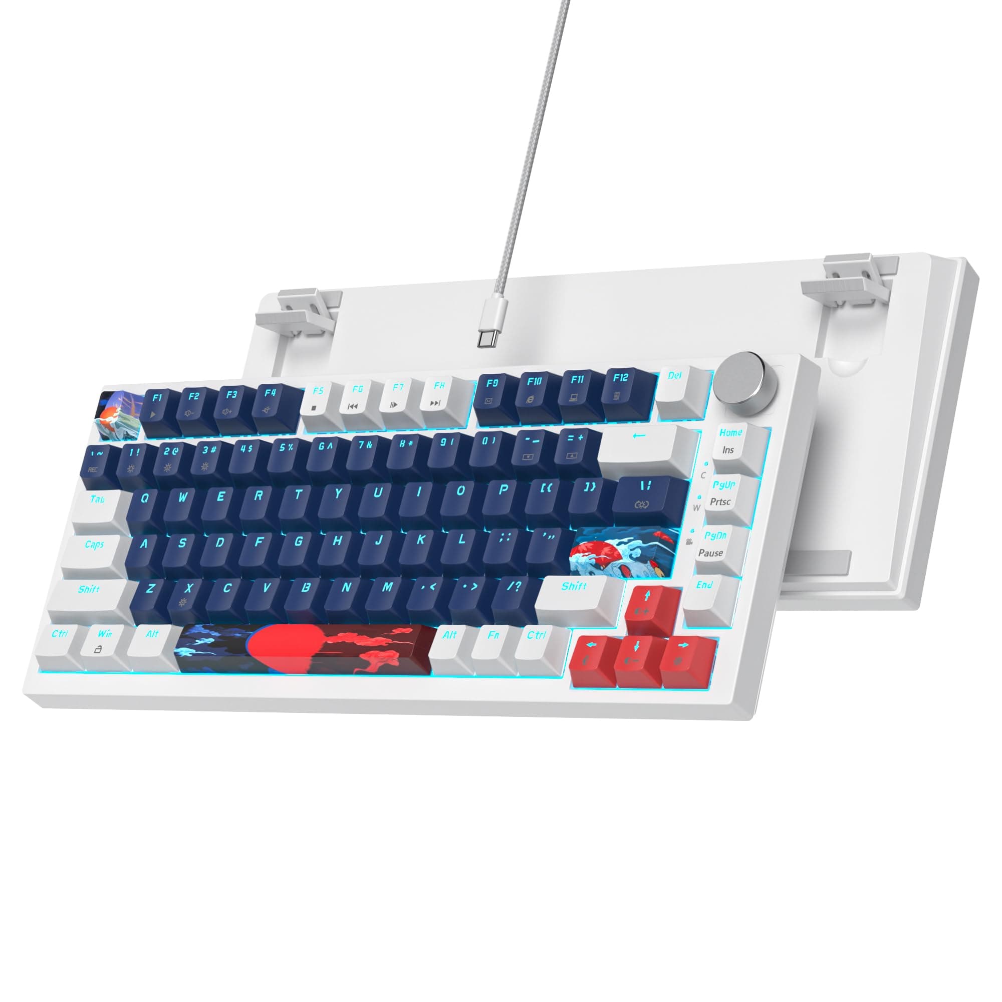 Ussixchare 75% Mechanical Gaming Keyboard Wired Gasket Mount Keyboard 82 Keys Hot Swappable Keyboard RGB Backlit Knob TKL Keyboard for PC Laptop Windows Gamer(Blue Earth)