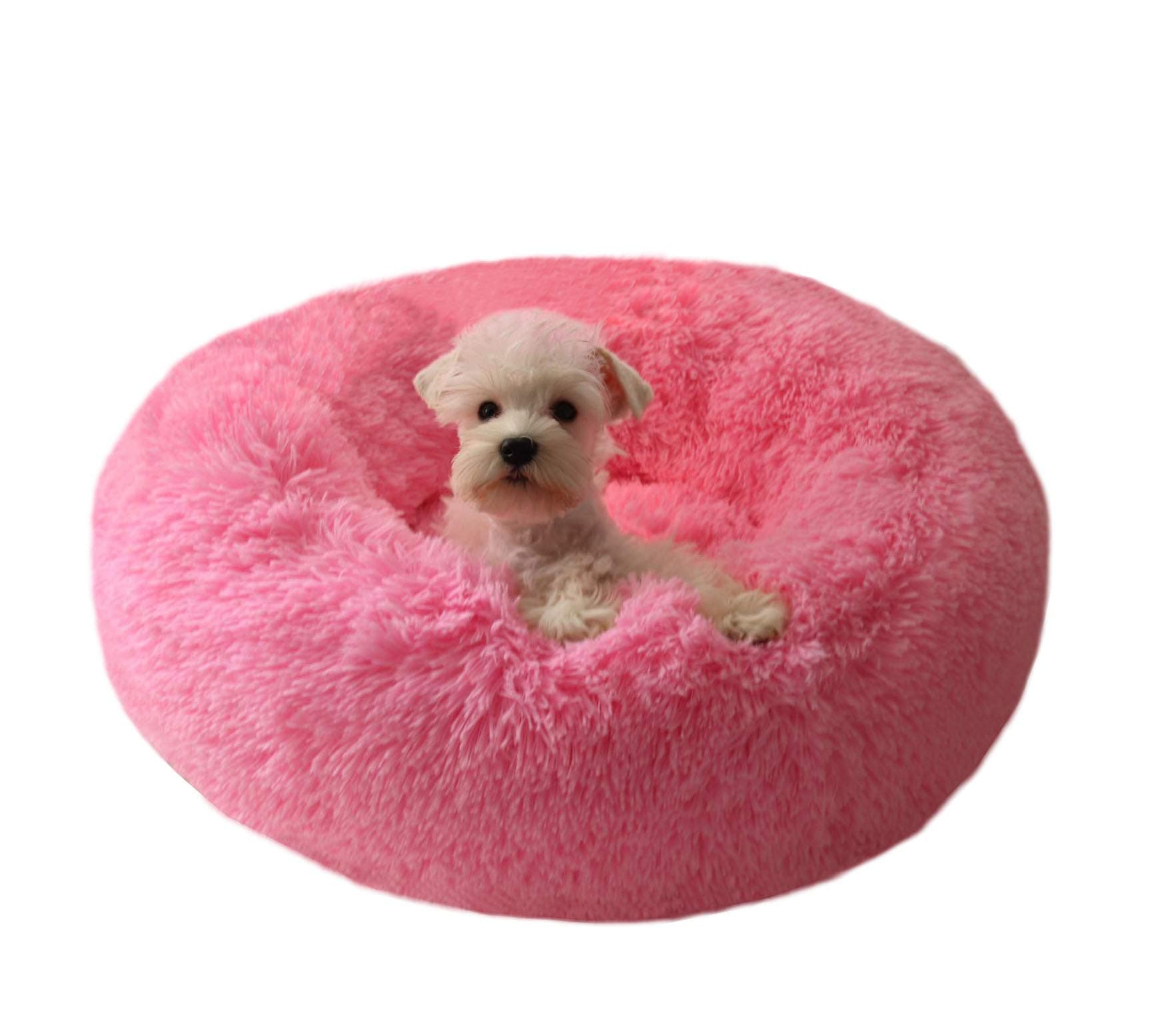 Cat Bed for Indoor Cats,Mini Plush Self Warming Kitten Bed, 20 Inch