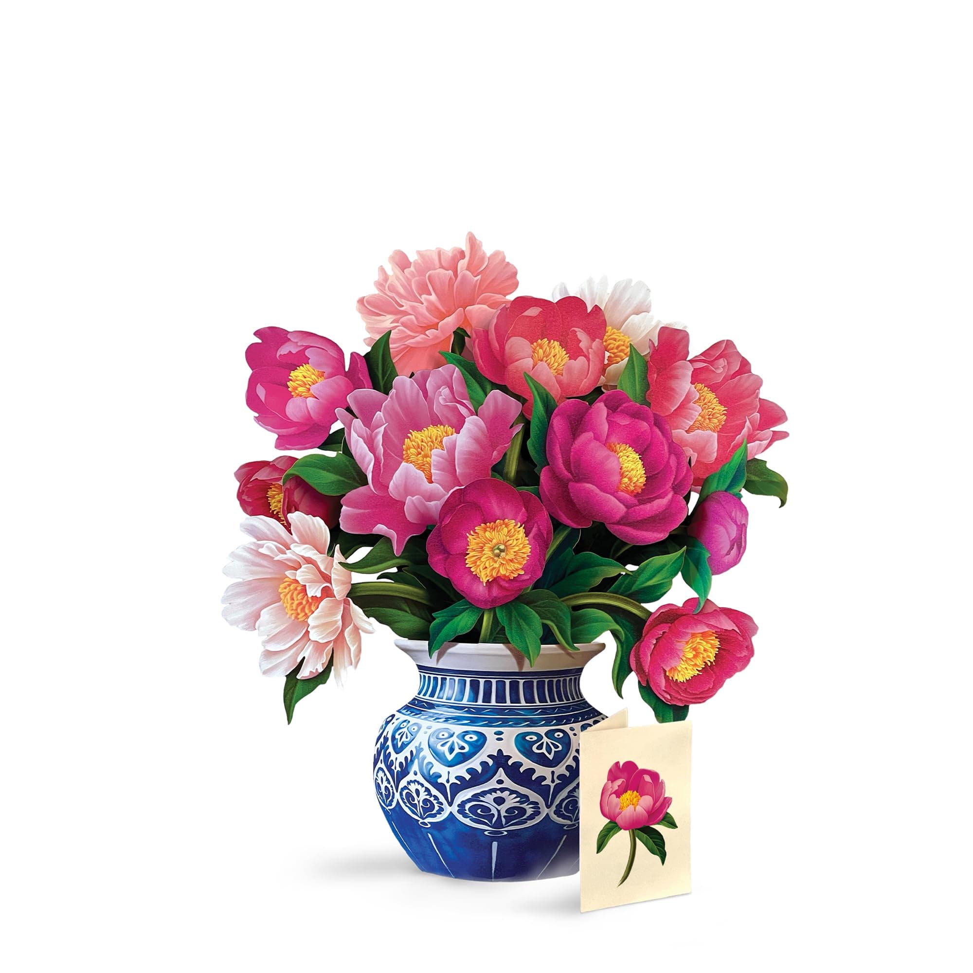 Freshcut Paper Peony Paradise 13 Inch Life-Sized 3D Pop Up Card – Birthday, Mothers Day, Thank You, Gifts for Mom and Her – Includes Notecard and Envelope