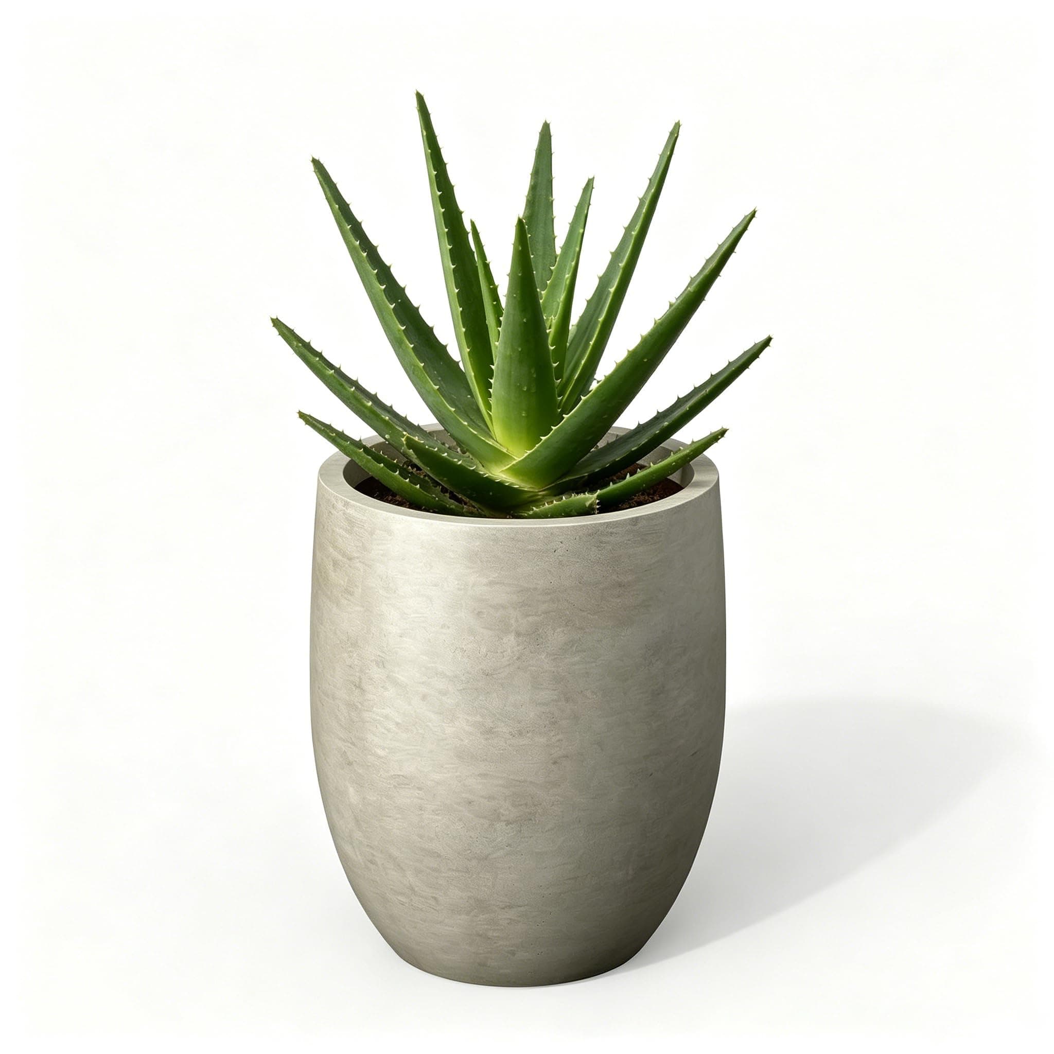 Kante 11.8 Inch Tall Concrete Planter, Large Indoor Outdoor Plant Pot with Drainage, Smooth Weathered Concrete Finish with Forest Green Interior, Ideal for Porch, Home, Garden, Patio