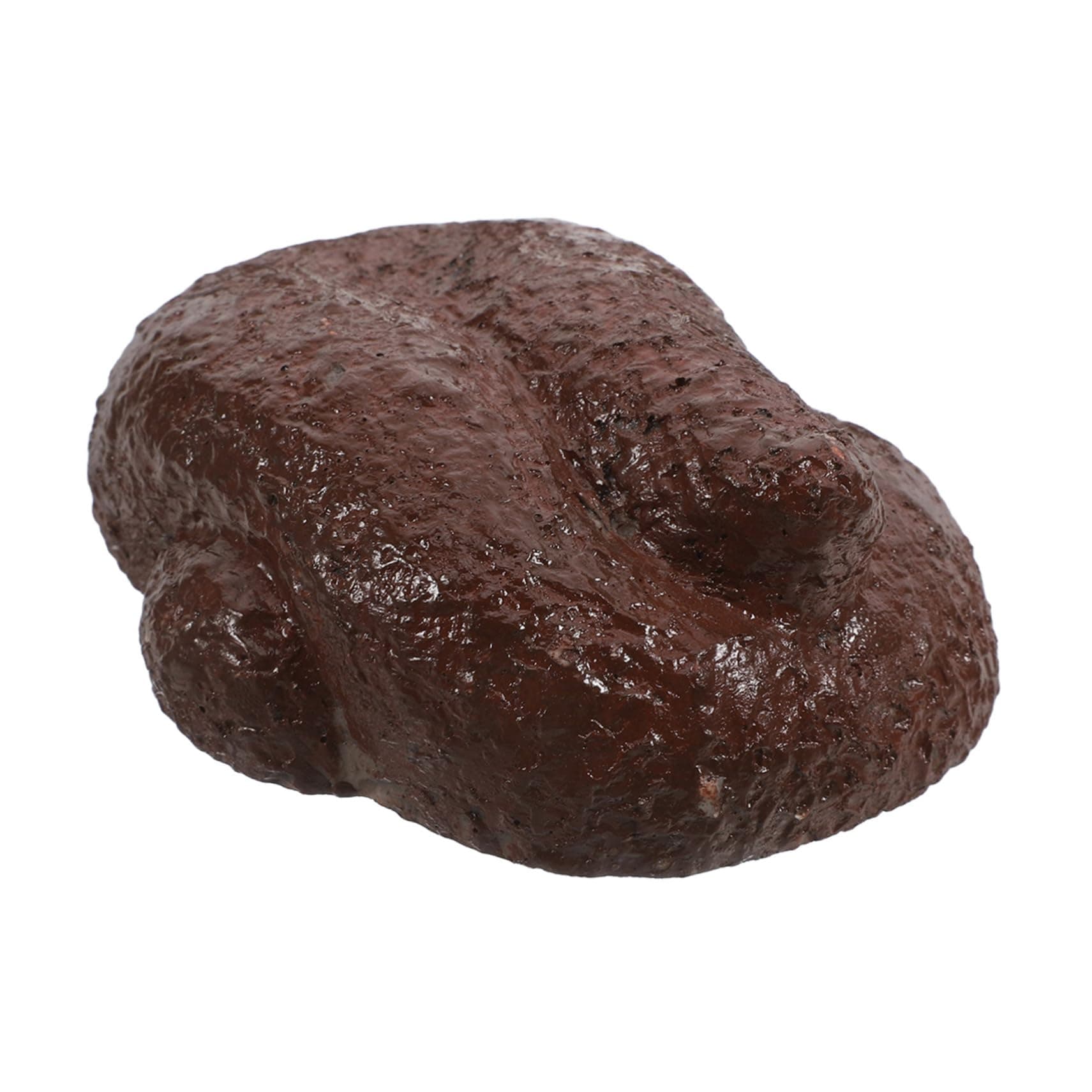 OSALADI Realistic Fake Poop Key Hider Secure Outdoor Garden Decor Storage Box for Hidden Keys