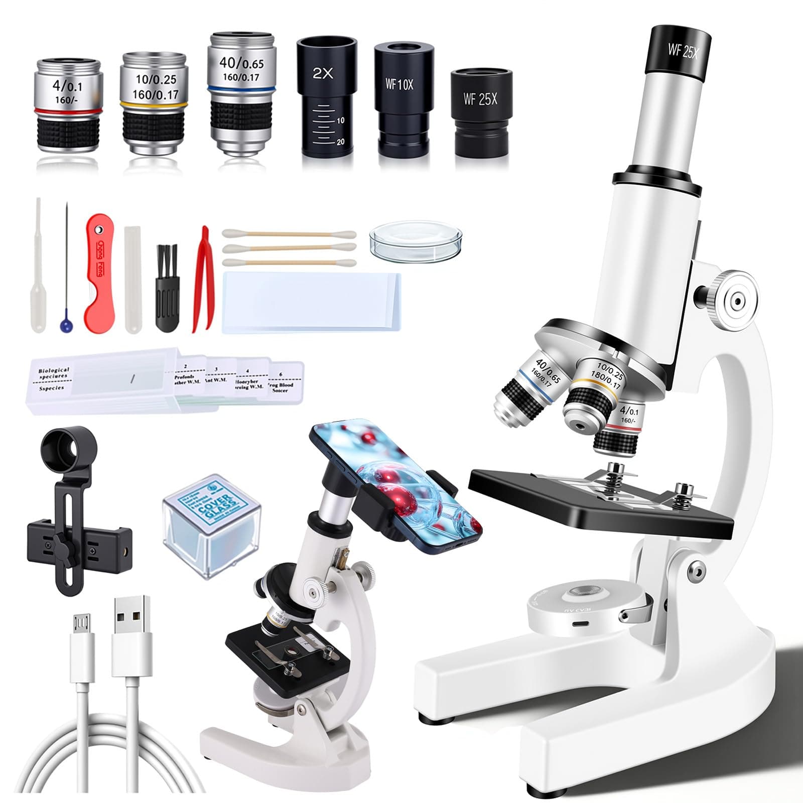 Compound Microscope for Adults & Kids - 40X-2000X High-Power Biological Microscope for Students, School Lab & Home Education, with Slides Set & Phone Adapter (Light White)