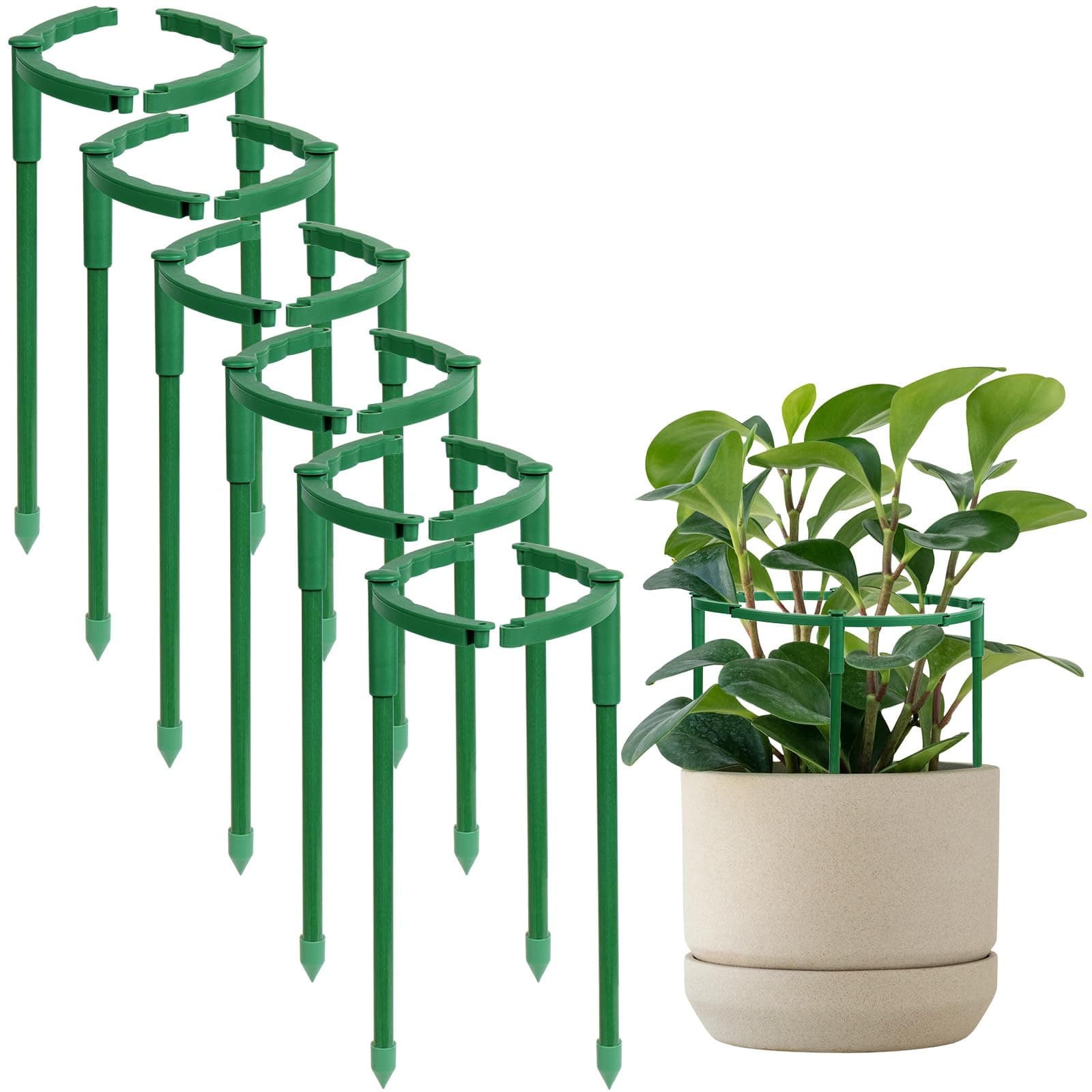 12 Pack, 6.3 x 9.8 Inch Plant Support Stakes, Plastic Plant Cage Holders, Half Round Plants Support, Garden Flower Stakes for Indoor Outdoor Plants Vegetable Tomato Monstera Peony Hydrangea