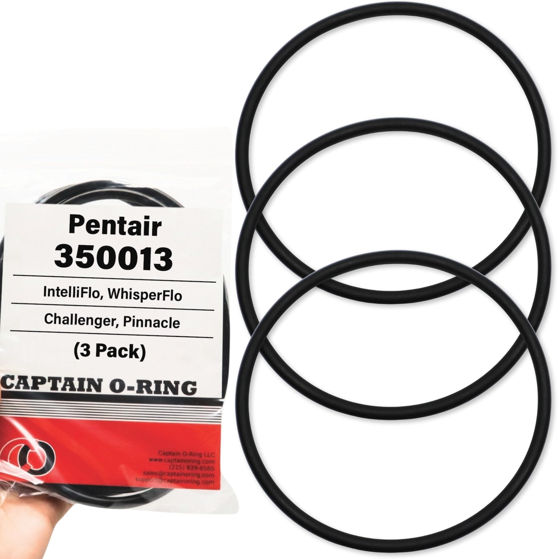(3 Pack) Pentair 350013 Lid O-Ring - Replacement Pool and Spa Pump ORing by Captain O-Ring