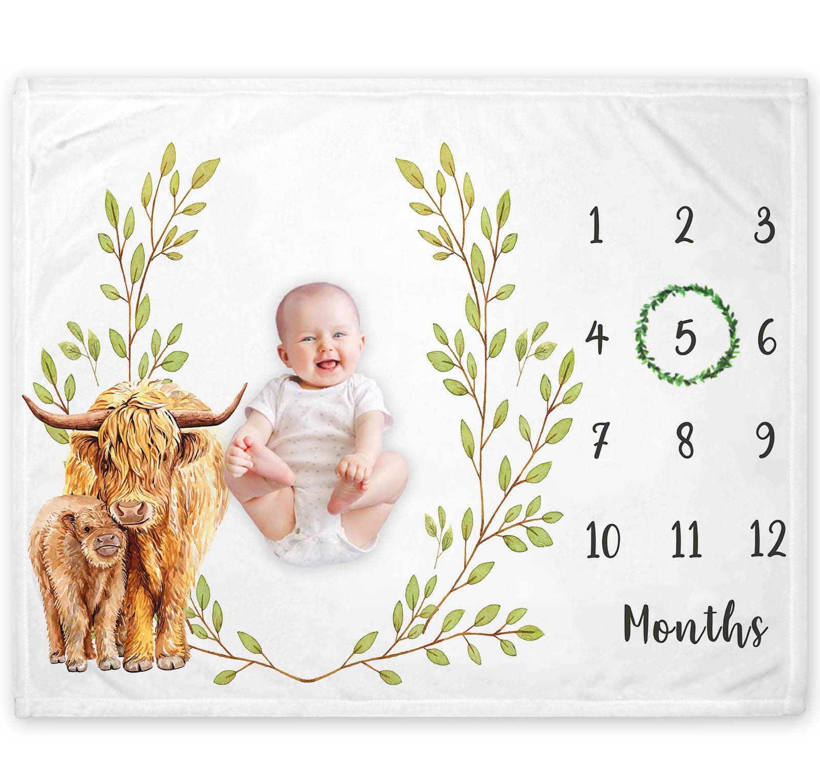 Highland Cow Milestone Blanket Highland Cow Baby Growth Chart Month Blanket