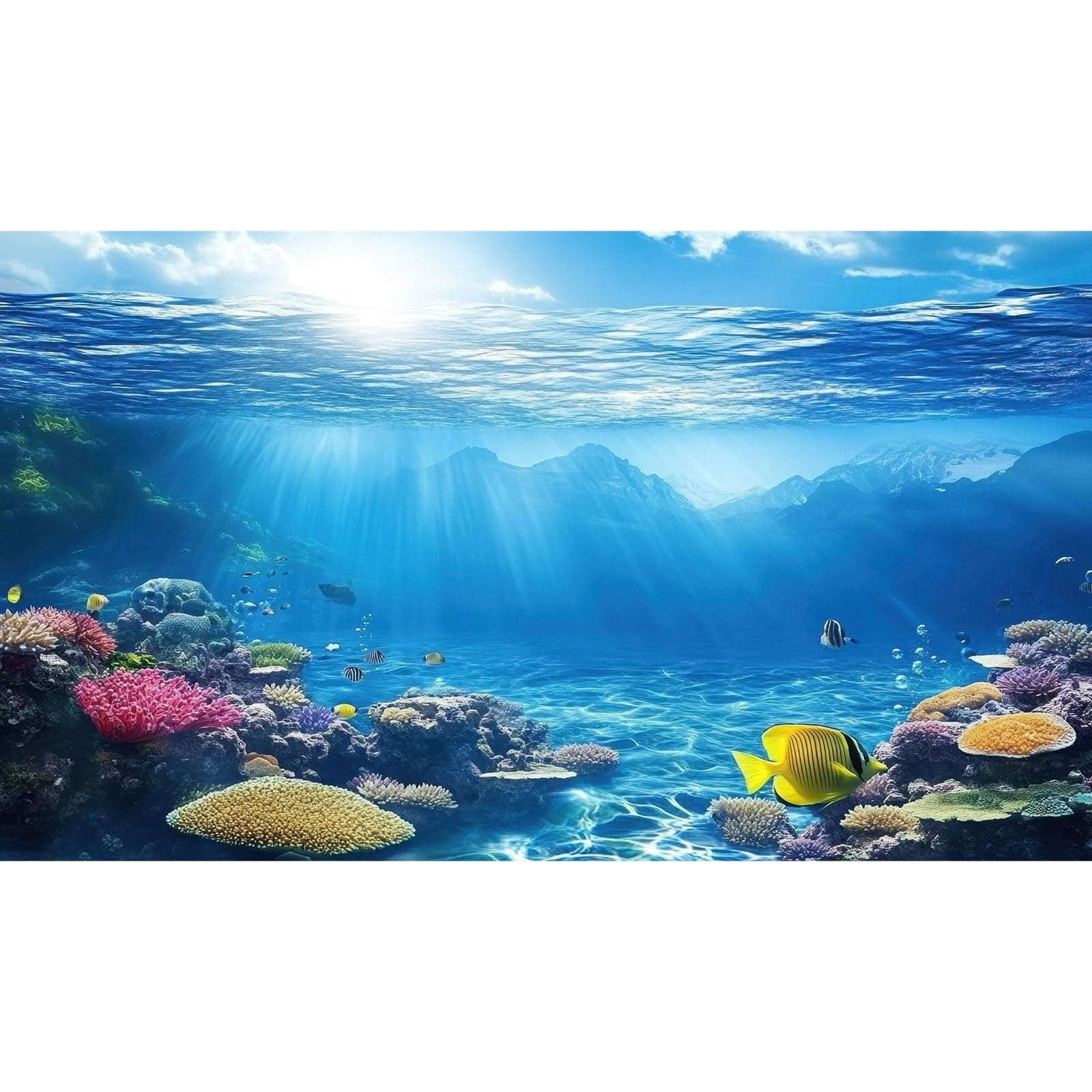 Under The Sea Aquarium Background Underwater Scene Coral Reefs Fish Tank Background Diverse Marine Life Sunlight Seascape Terrarium Backgrounds Tropical Undersea View Aquarium Tank Backgrounds 60x24in