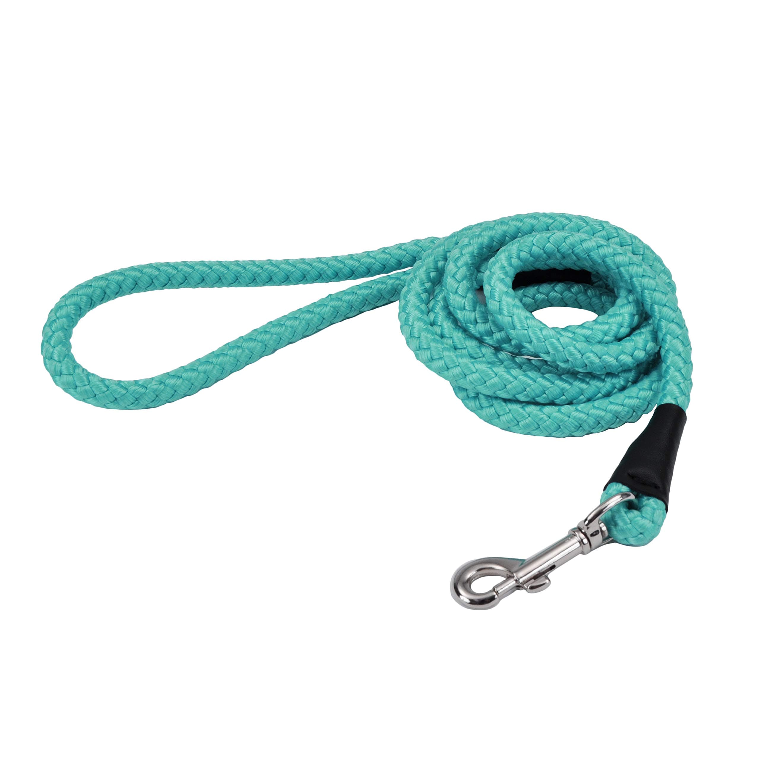 Coastal Pet Rope Dog Leash - Tangle-Free Walking - Soft-Braided Nylon - Fade-Resistant Colors with Snap Swivel Hook - Teal, 1/2" x 06'