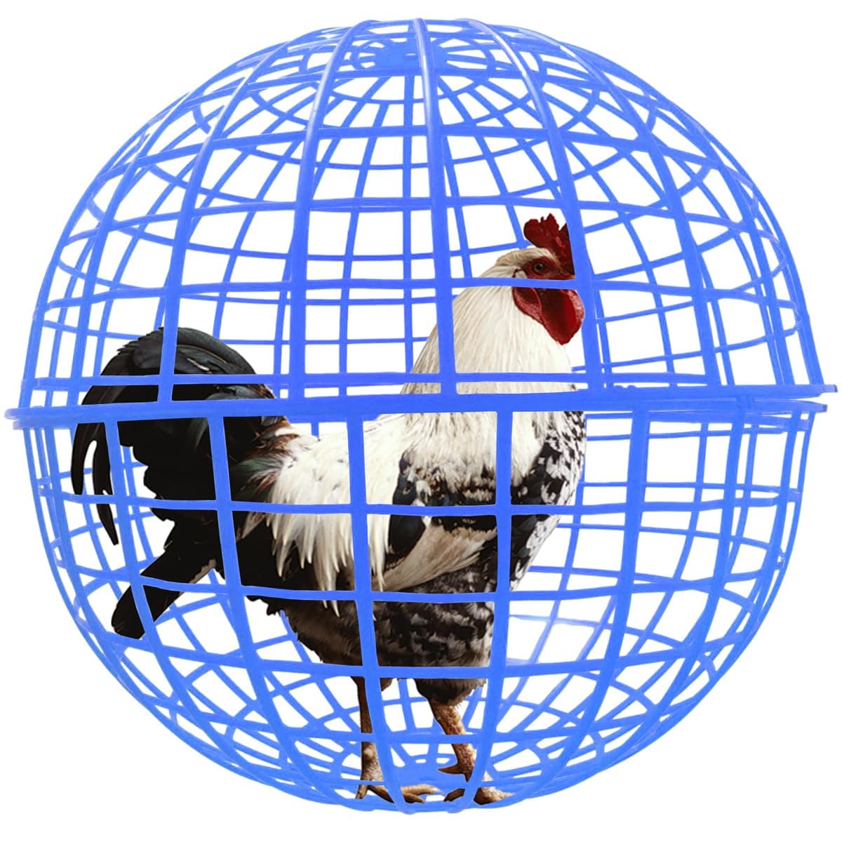 CalorMixs 19.6" Pet Removable Safety Cage Chicken Coop Ball Cage Rolling Enclosure Outdoor Farms Courtyard Plastic Hutch Secure Walking Net Rabbits Chicks Ducks Prevents Dog Bites 2-Pack
