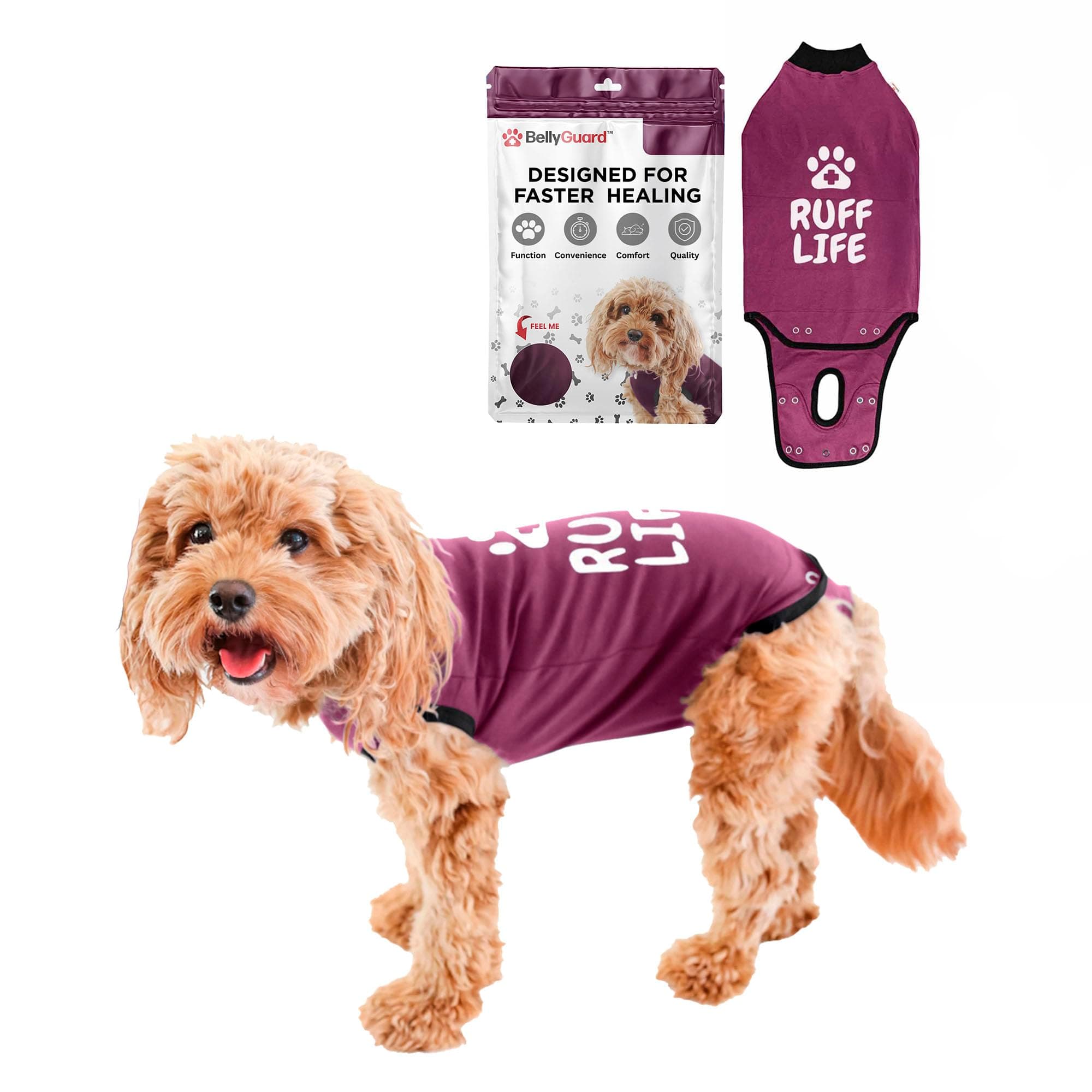BellyGuard Dog Surgery Suit for Male and Female, Onesie for Dogs After Surgery, Spay or Neuter Recovery Suit for Post-Op Care