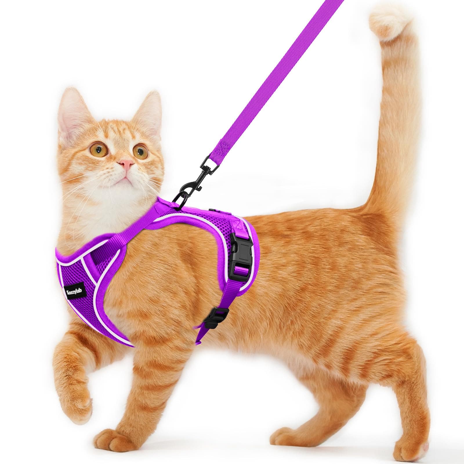 Cat Harness and Leash for Walking Escape Proof Soft Adjustable Cat Leash