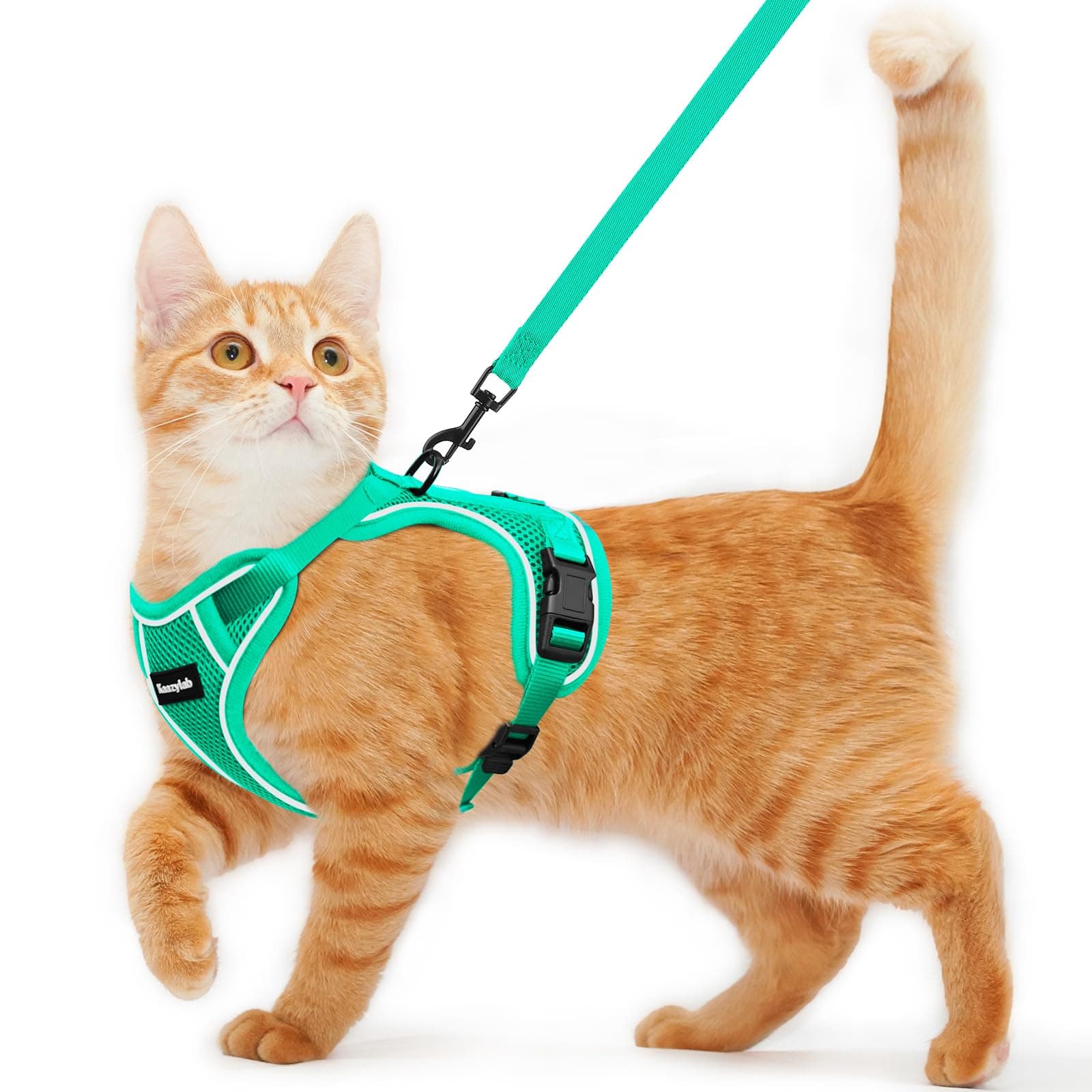 Cat Harness and Leash for Walking Escape Proof Soft Adjustable Cat Leash