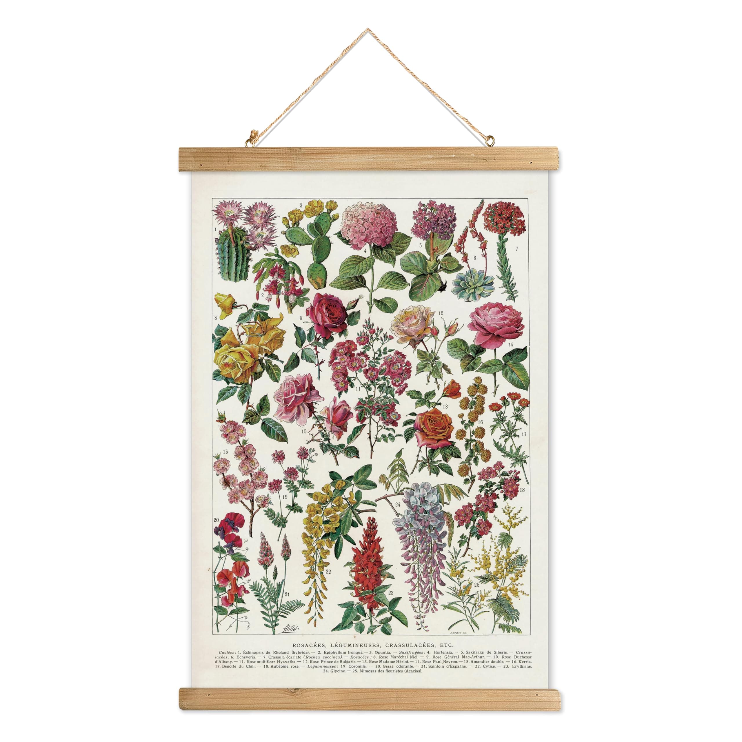 XIAOAIKA Vintage Wildflowers Poster Hanger Frame, Retro Style Wall Decor Art Painting, Patterns are Printed on Linen Without Fading, Scrolls Made of Fir are Durable (16 x 23 inches)