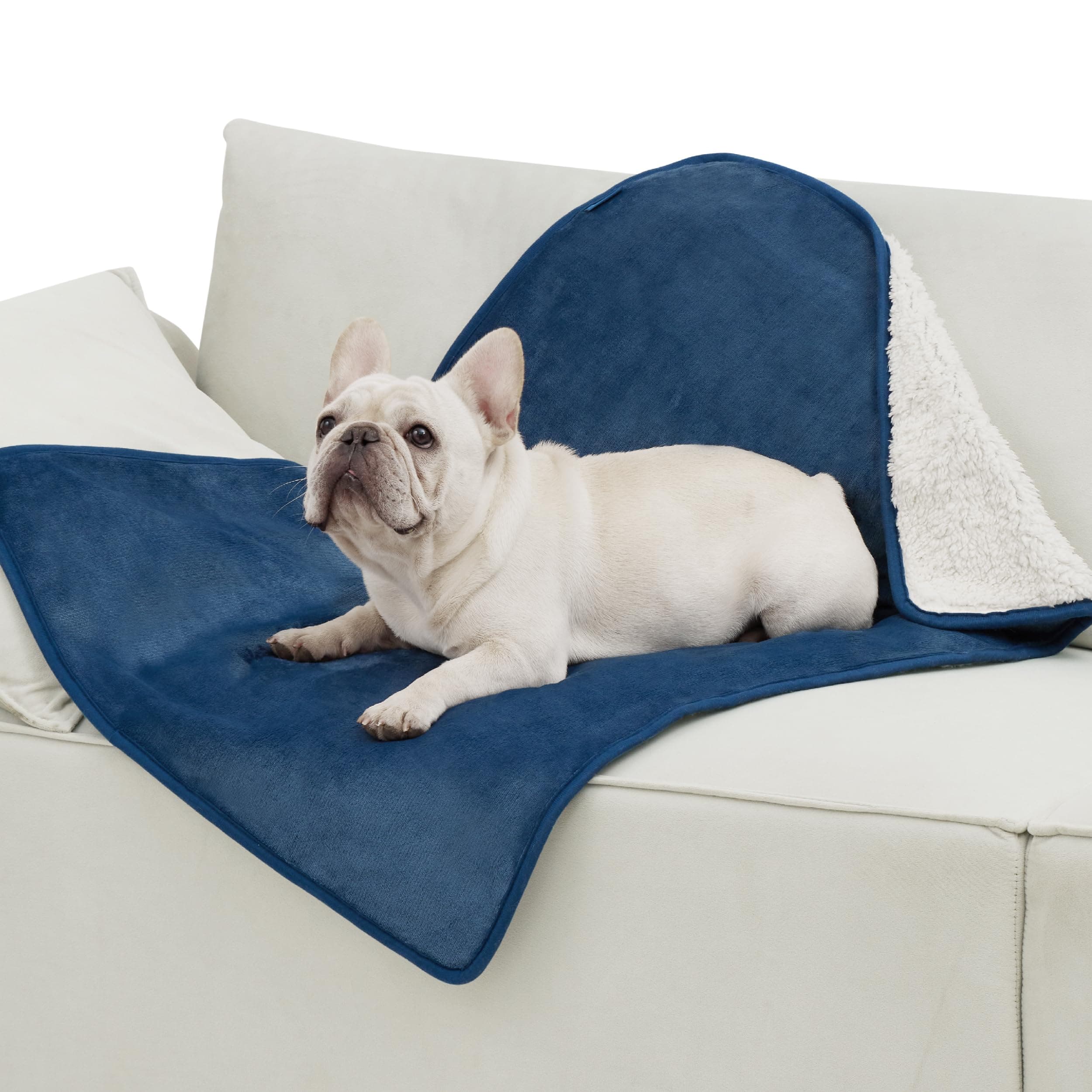 Lesure Waterproof Dog Blankets for Medium Dogs Washable Soft Warm, 30"X40"