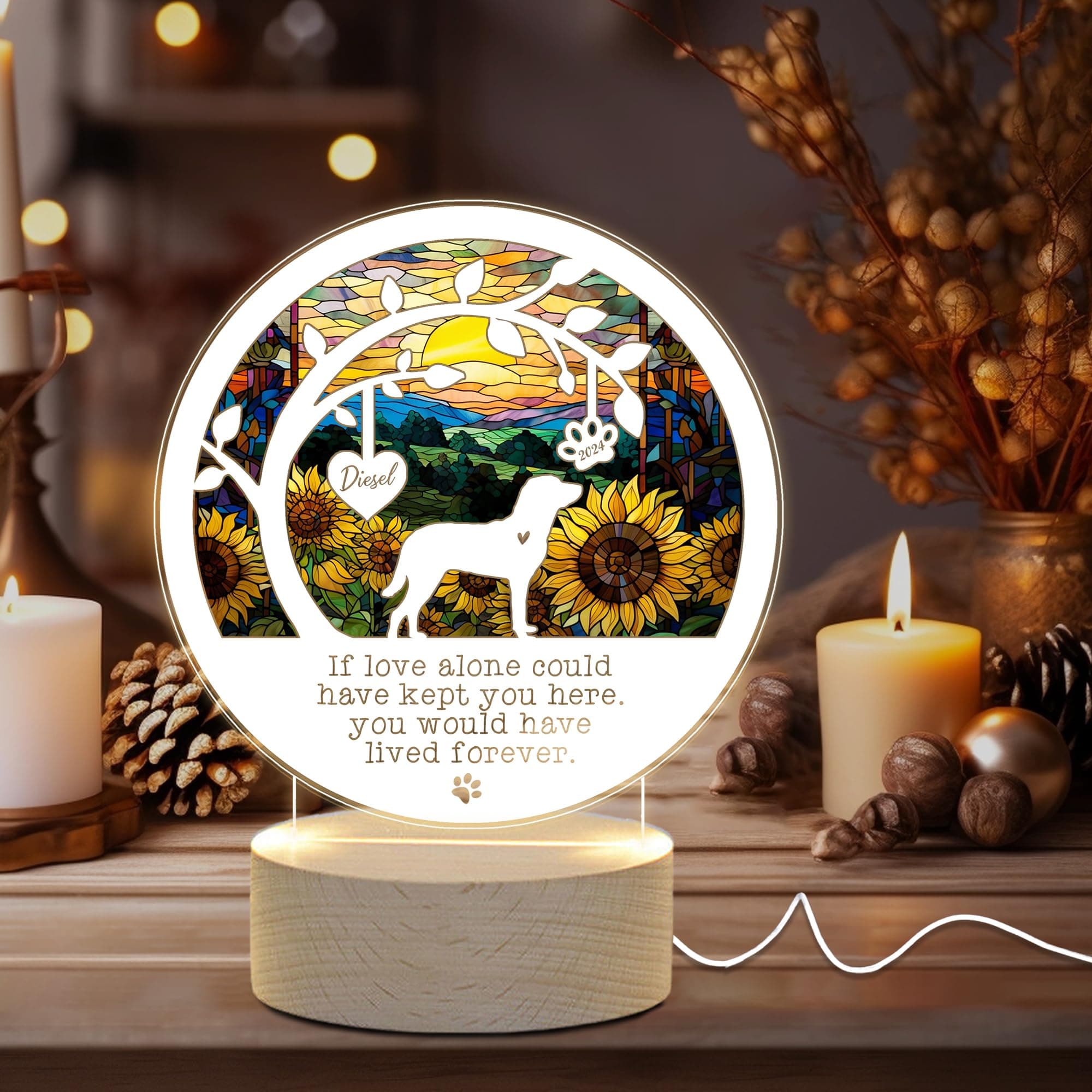 NETHOUSE Chesapeake Bay Retriever Dog Memorial Gifts for Loss of Dog, Pet Loss Gifts in Memory of Dog Night Lights, Personalized Acrylic 3D Led Light, Dog Loss Sympathy Gift for Dog Lovers