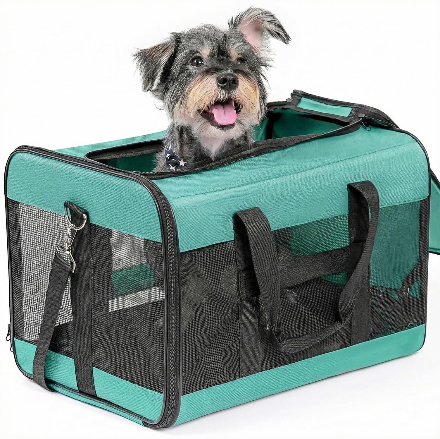Conlun Dog Carrier Soft Sided, Large Cat Carrier up to 20 Lbs,Turq L