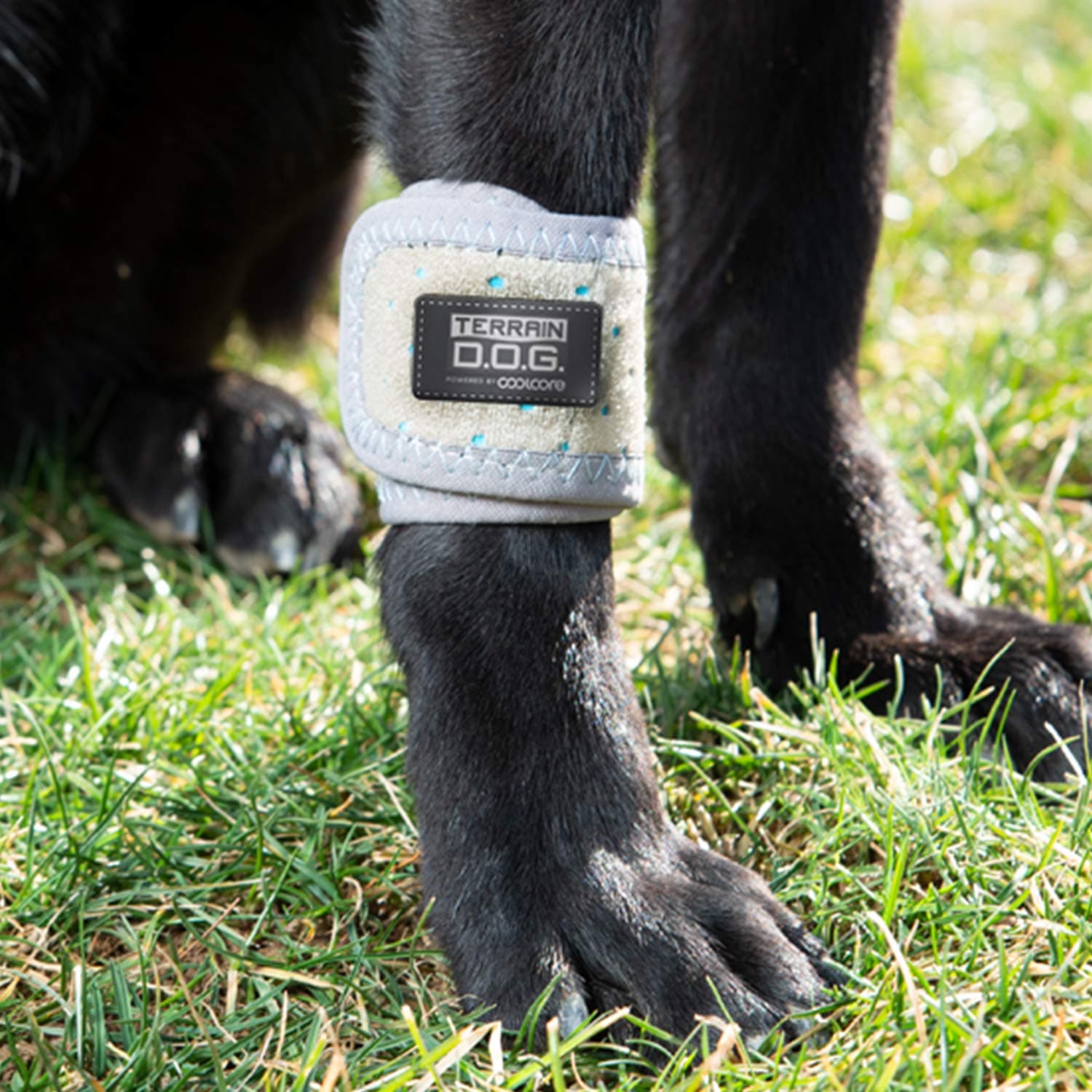Terrain Dog Cooling Band - Icing and Cooling Therapy for Pet Joints - Machine Washable Wrap with Coolcore® Technology to aid in Dog Recovery and Healing