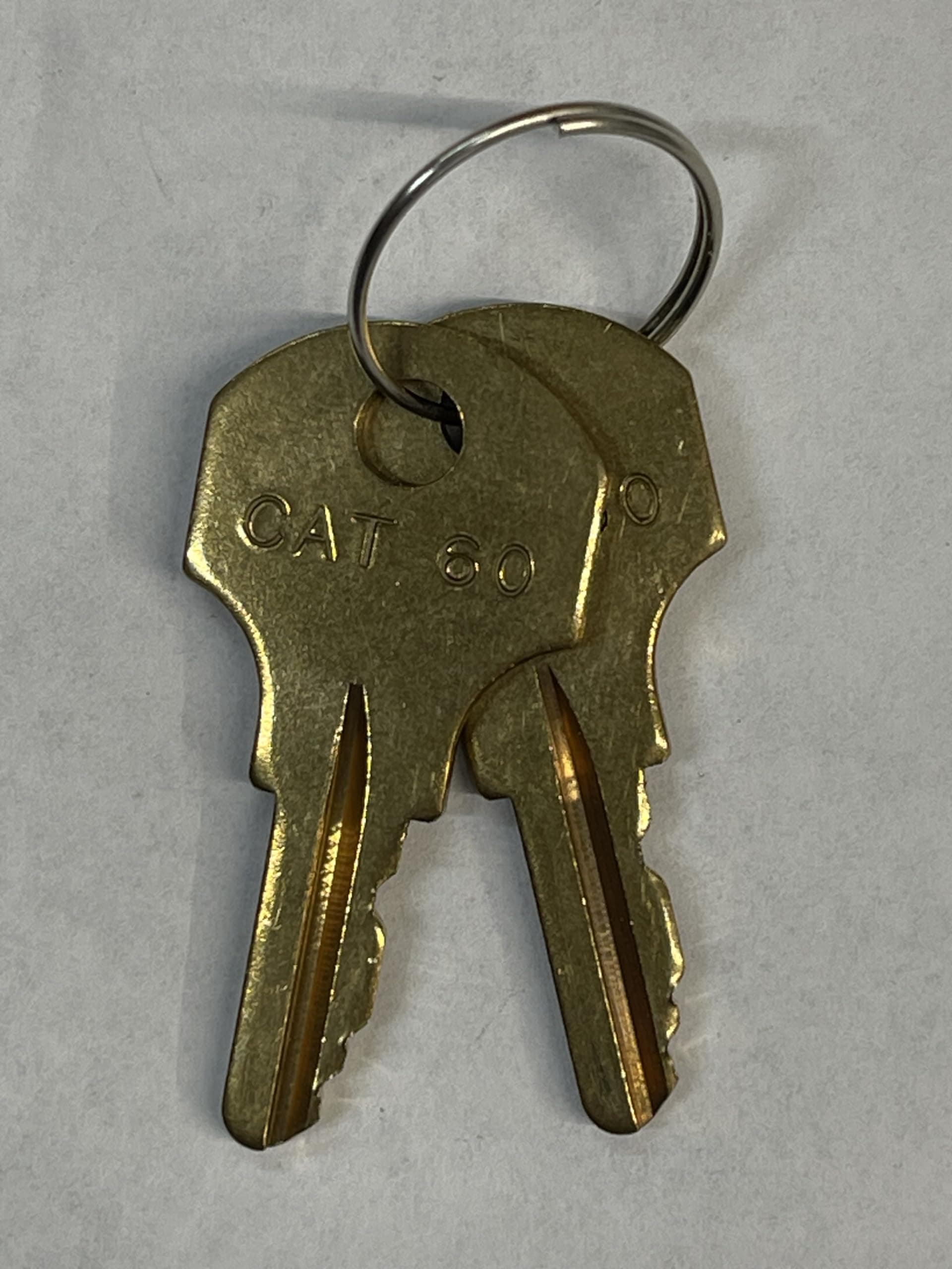 2 CAT 60 Keys for Gamewell Fire Alarms