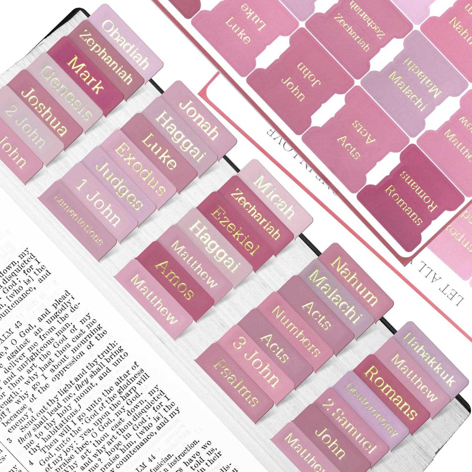 Bible Tabs, 75 Tabs, Laminated Bible Index Tabs for Women and Men, Bible Book Tabs for Easy Navigation, Large Print Easy to Read(Gold Foil Pink)