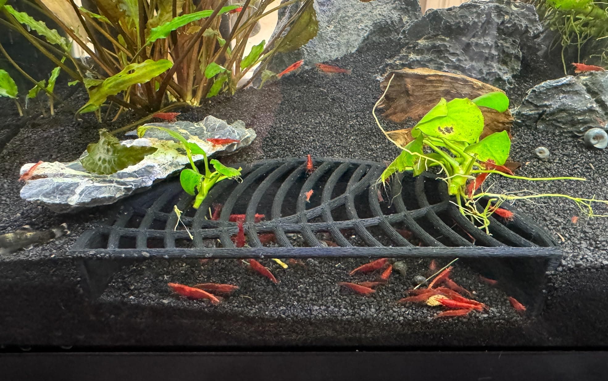LifeWithPets Shrimp Breeding Hide | Shrimp Cave | Shrimp Hide | Tunnel | Black