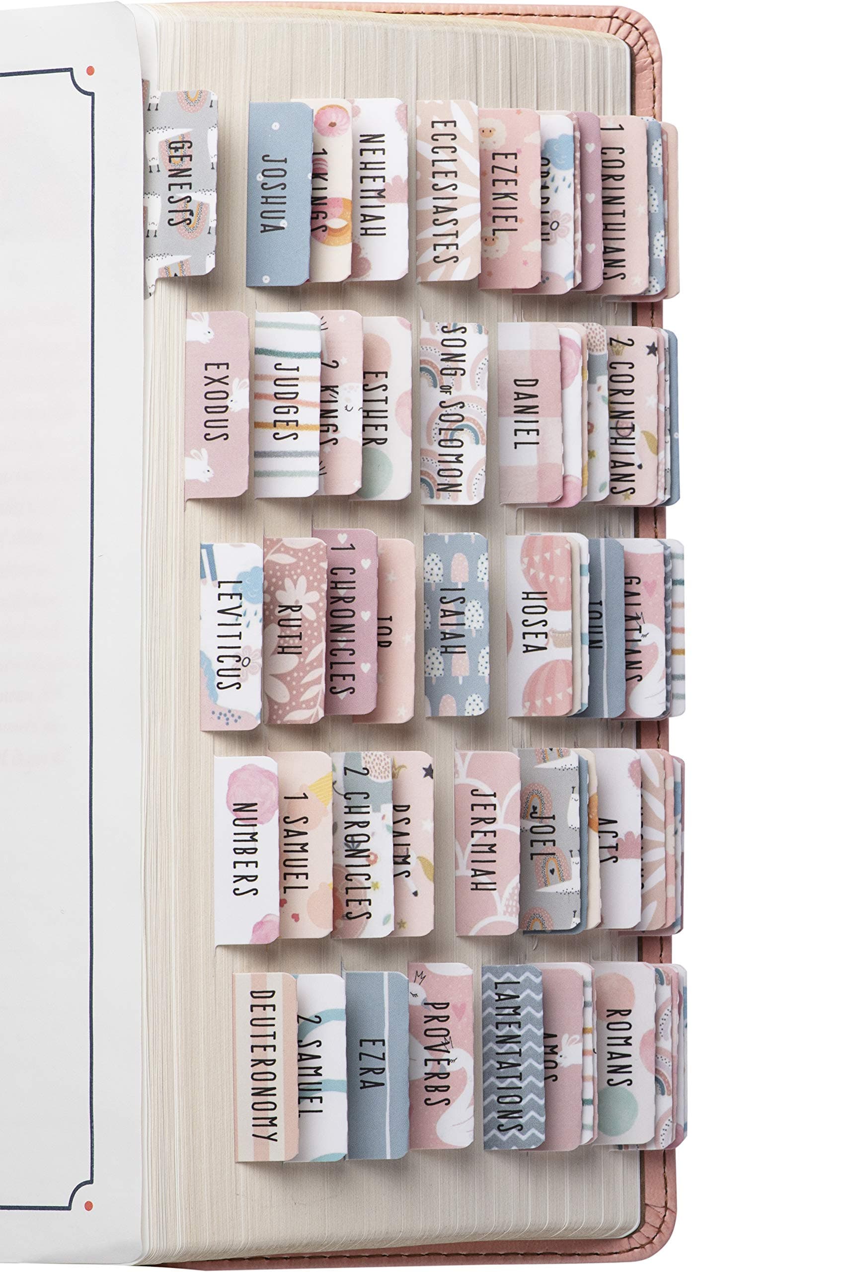 DiverseBee Laminated Bible Tabs for Women and Girls (Large Print, Easy to Read), Bible Journaling Book Tabs, Christian Gift, 66 Bible Tabs Old and New Testament, Includes 11 Blank Tabs - Sweet Theme