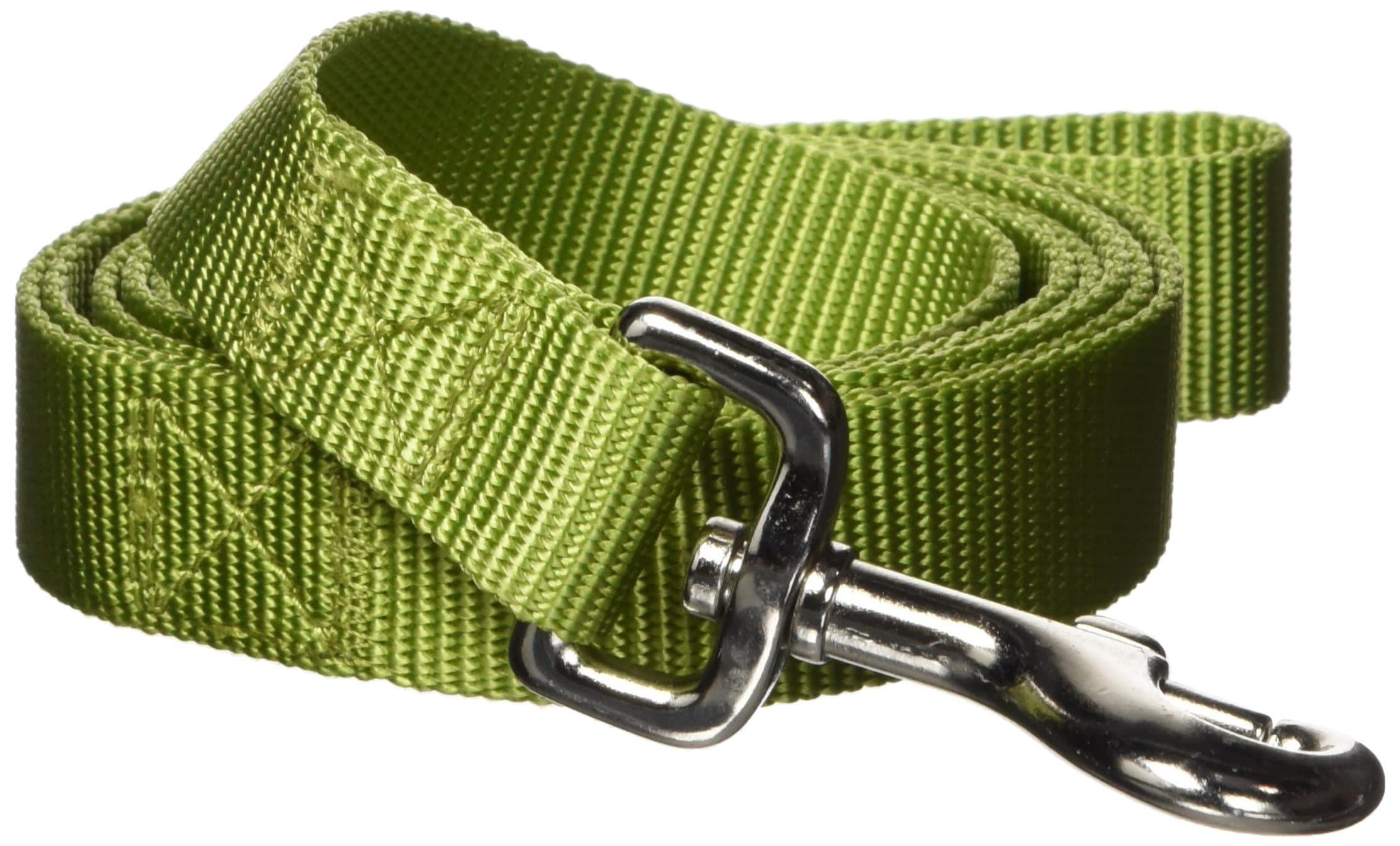 Zack & Zoey Nylon Dog Lead, 6-Feet, Parrot Green