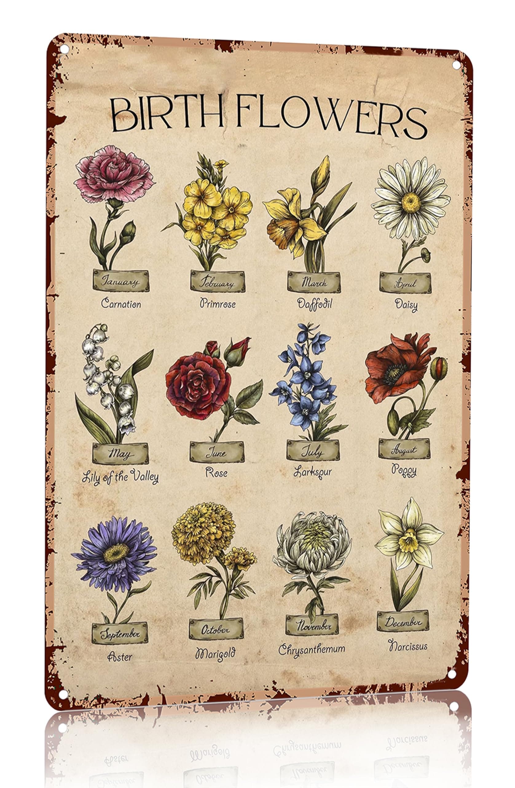 Bestylez Garden Gifts Vintage Gardening Signs Mom Grandma Birth Month Flower Metal Sign for Home Garden Greenhouse Living Room Bedroom Yard Cottage Outdoor Decor 8X12 Inch (3355)