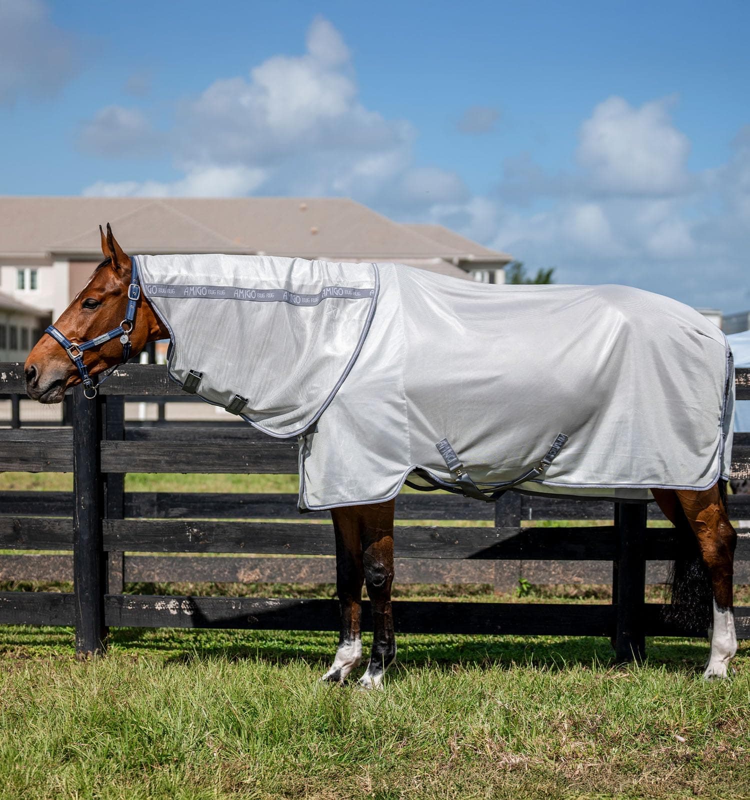 Horseware® Amigo® Bug Rug Plus Fly Sheet