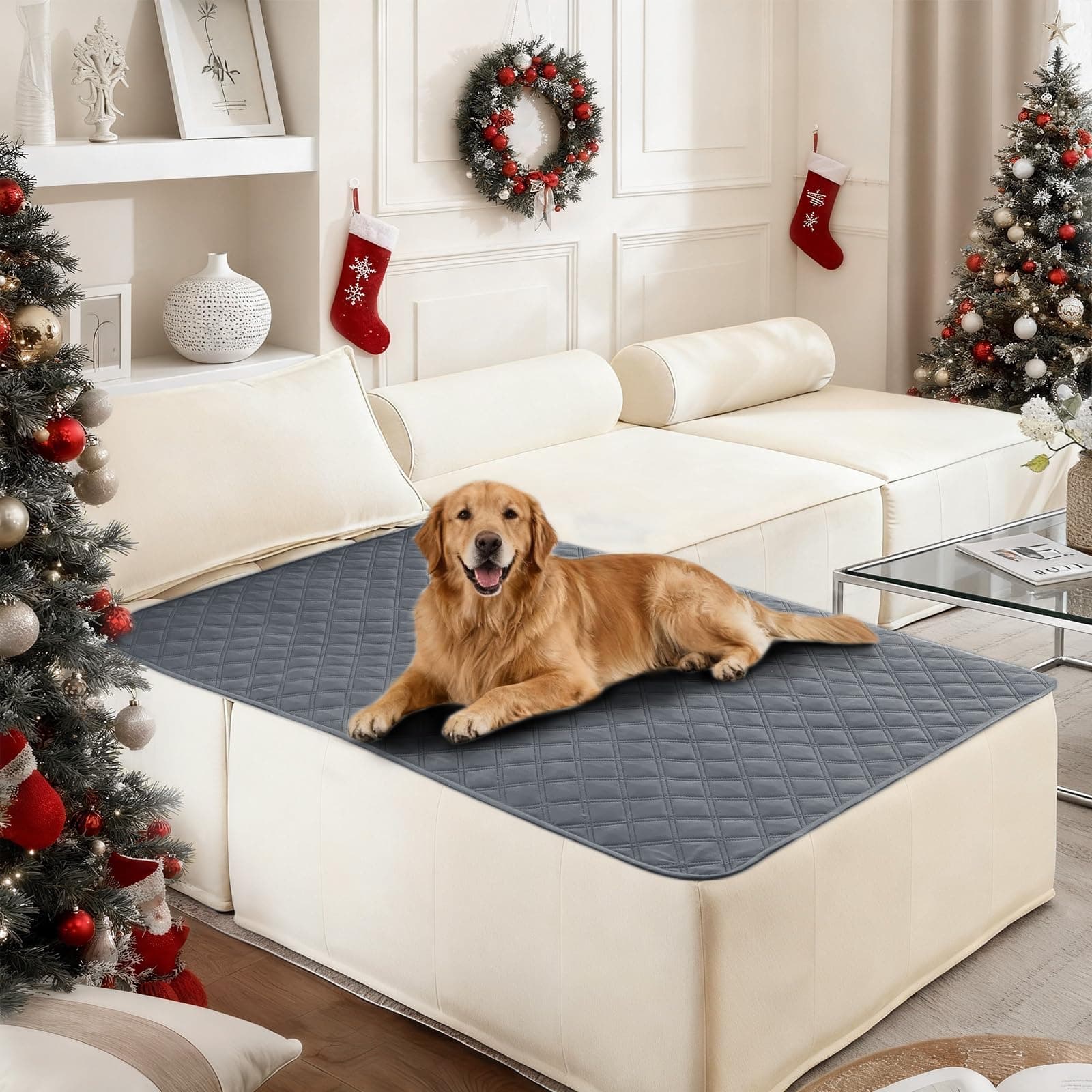 CYCMACO Waterproof Dog Bed Cover Pet Blanket, Soft Couch Cover for Dogs Washable, Non-Slip Dog Blanket Protect Furniture Couch Sofa Car for Puppy Large Dogs Cat (40x50 Inch, Dark Grey)
