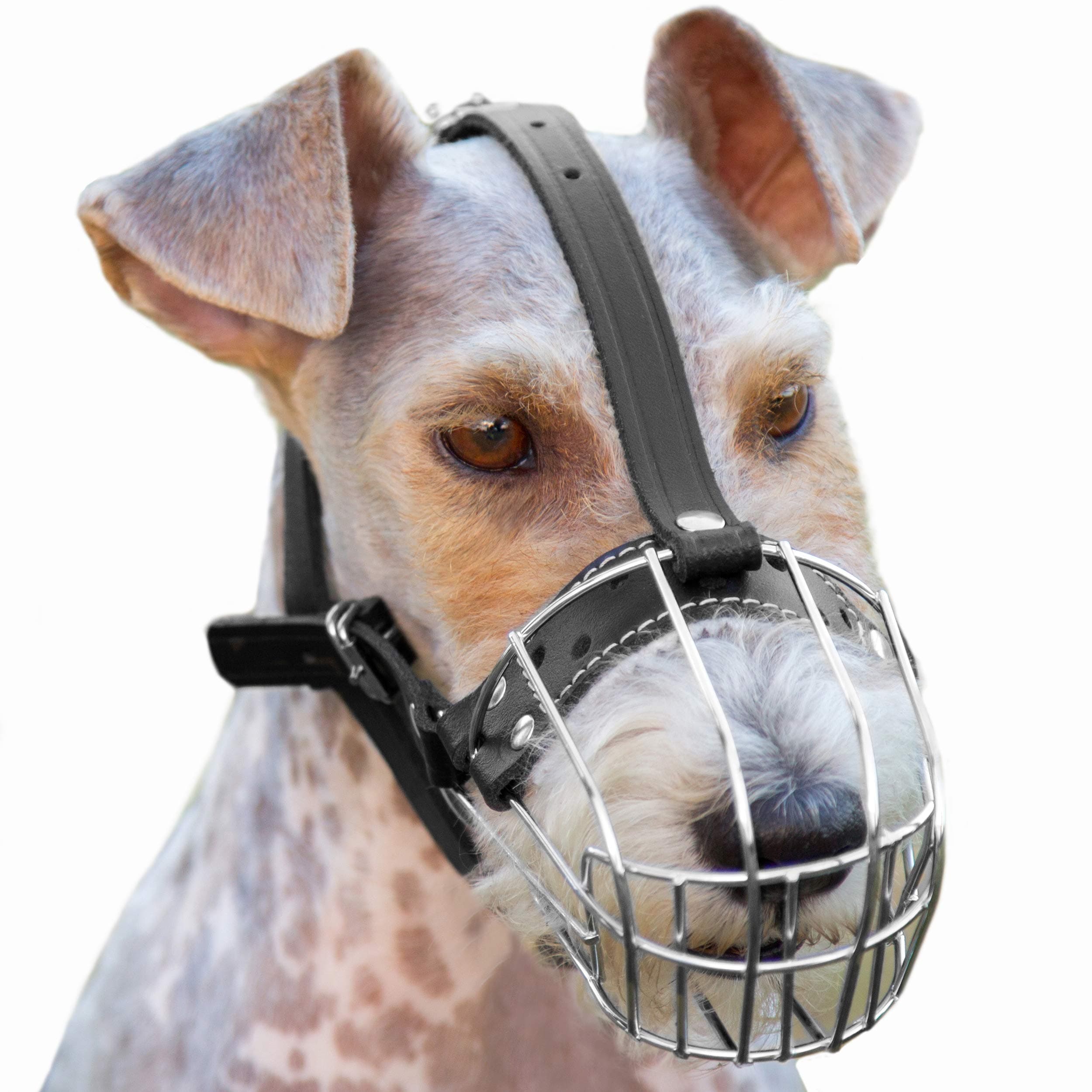 PetriStor №3 Dog Chrome Metal Muzzles Wire Basket Adjustable Leather Straps Circumference is 7.8-9.4 in, Length is 3.3-3.5 in