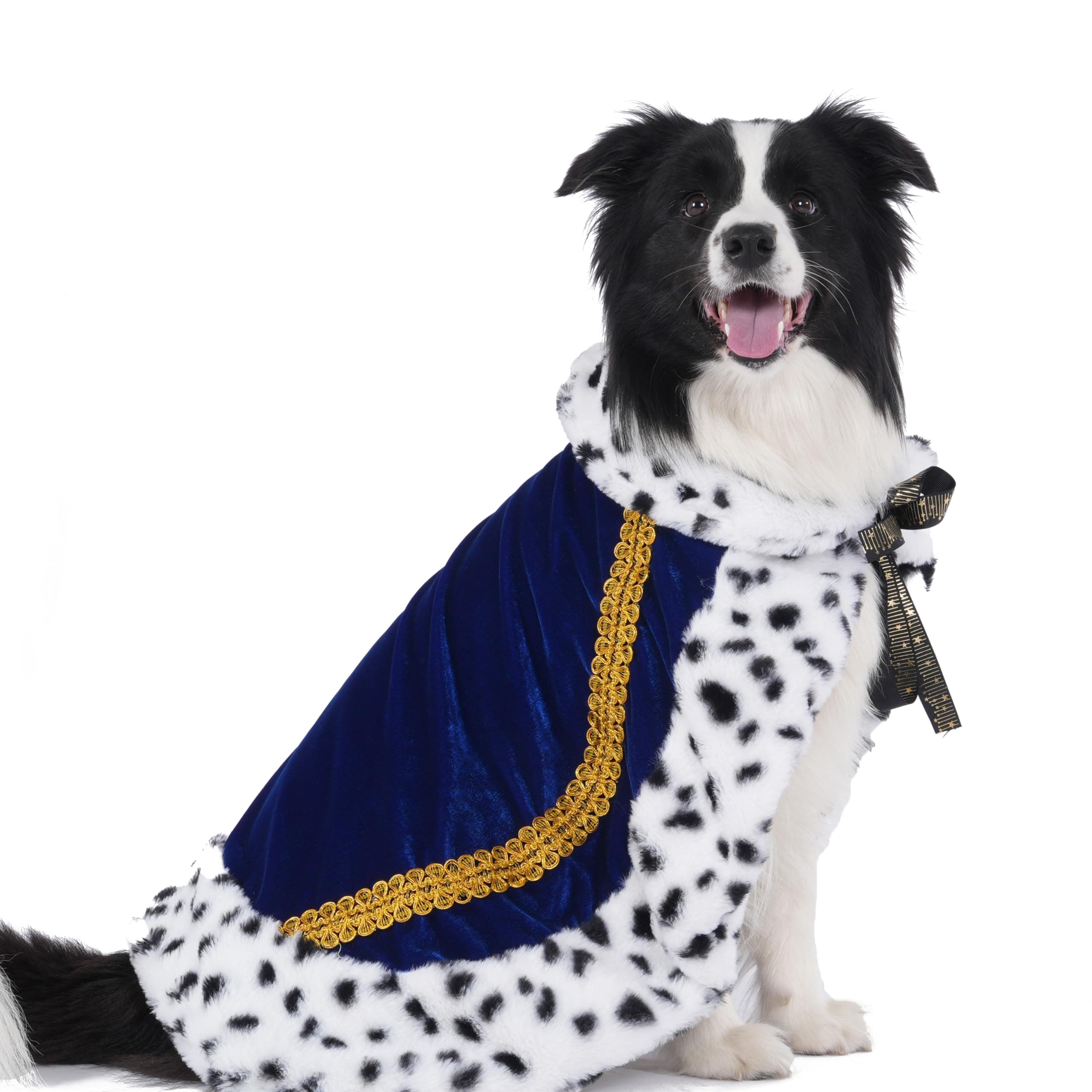 Lovelyshop pet Serial Lux Fur Blue Cat Dog Cloak for Halloween Costumes, King Queen Prince and Princess Cosplay-L