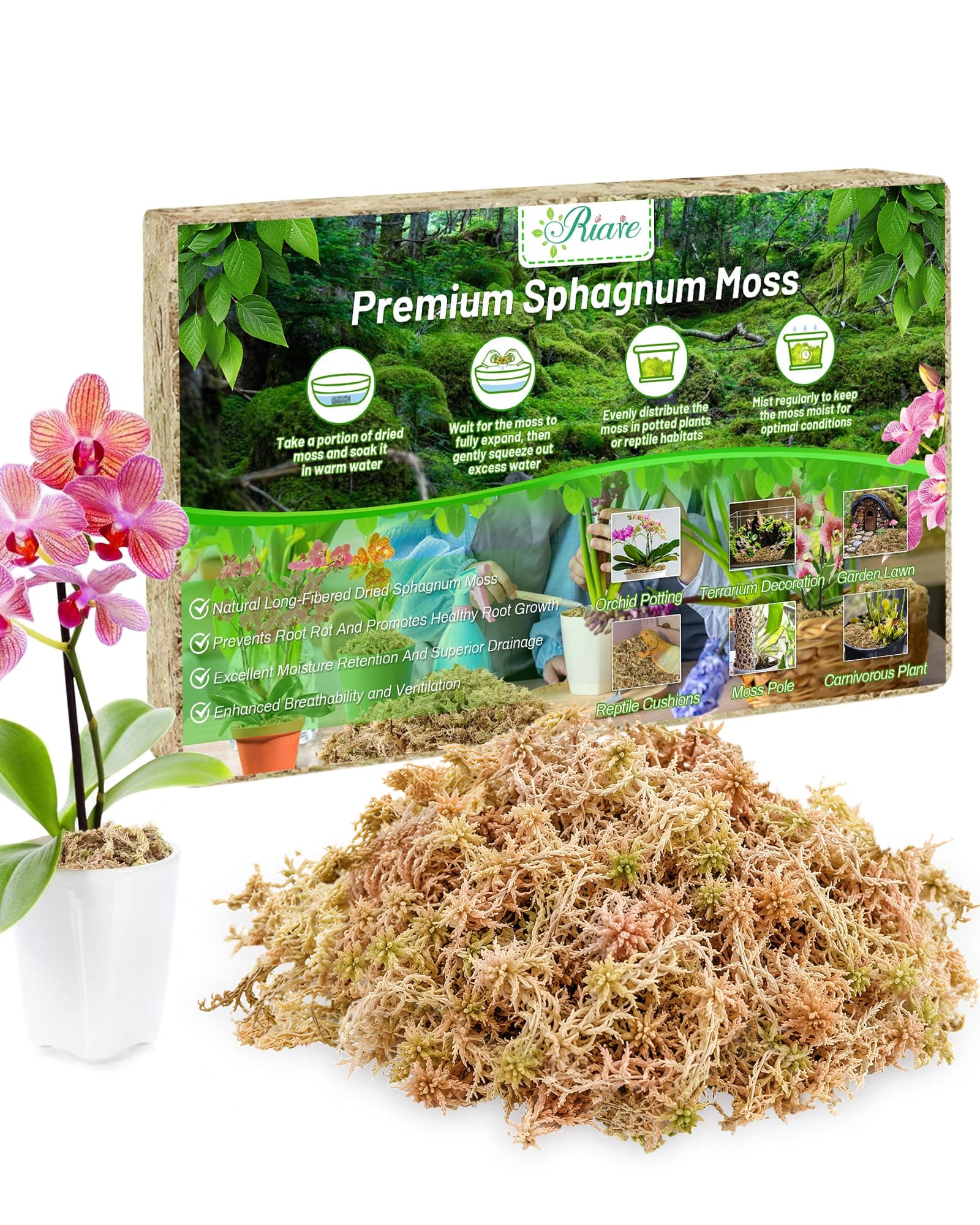 Riare 3.88oz Premium Sphagnum Moss for Plants-Natural Long Fiber Plant Moss