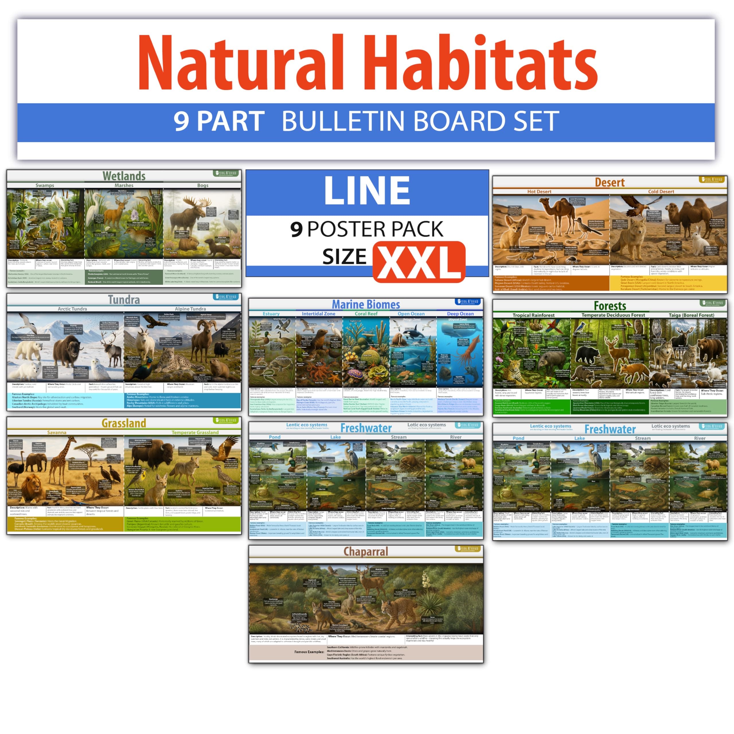 Earths Habitats ecosystem Line bulletin board set, 9 charts pack Laminated thick 3 mil (18x36") Young N Refined