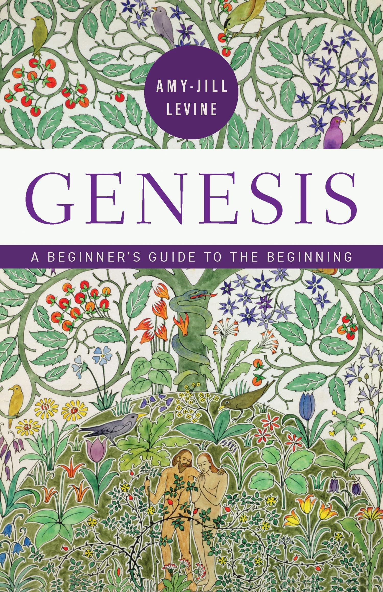 Genesis: A Beginner's Guide to the Beginning